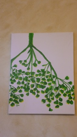 Bodzabimbók- Sambucus nigra (akril vászonra)